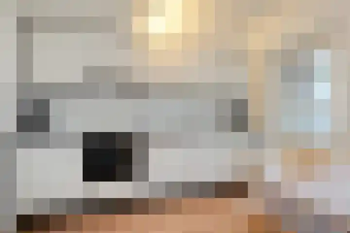 Haarsweg 8 Ommen thumbnail 20