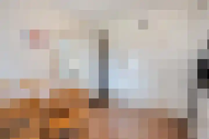 Haarsweg 8 Ommen thumbnail 21