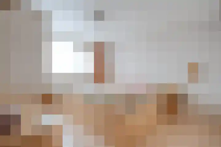 Haarsweg 8 Ommen thumbnail 30