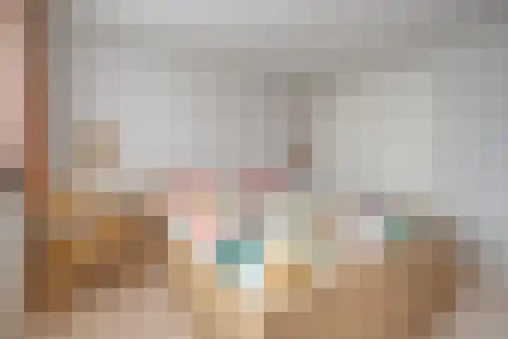 Haarsweg 8 Ommen thumbnail 31