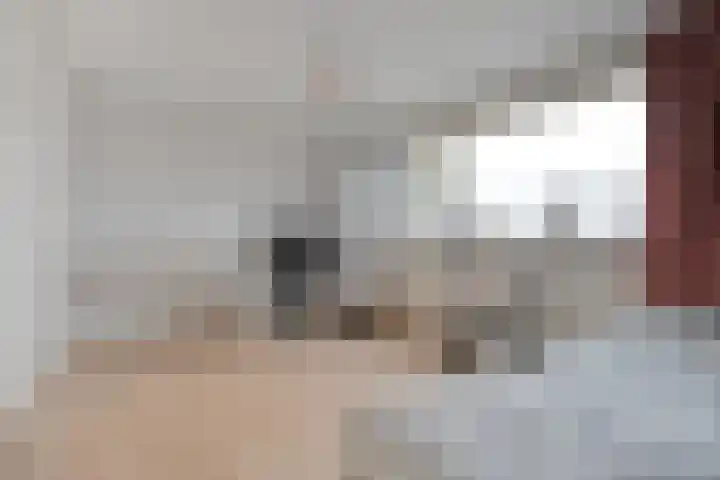 Haarsweg 8 Ommen thumbnail 32