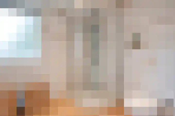 Haarsweg 8 Ommen thumbnail 34