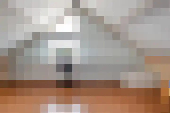 Haarsweg 8 Ommen thumbnail 39