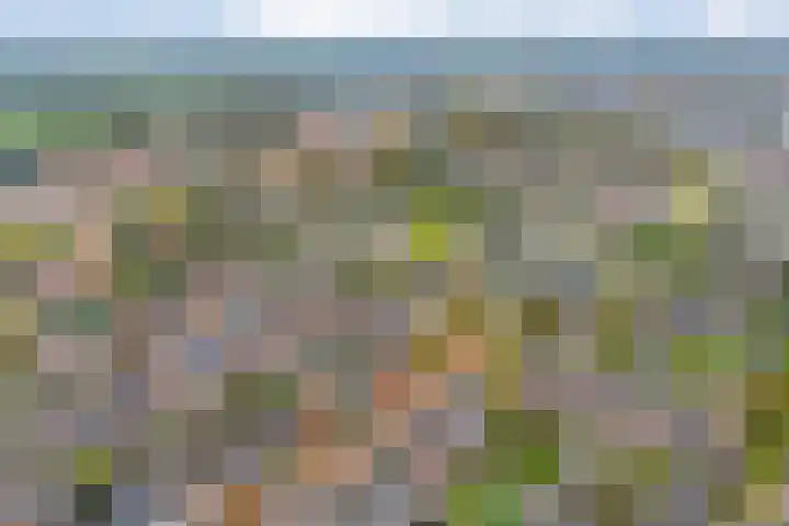 Haarsweg 8 Ommen thumbnail 4