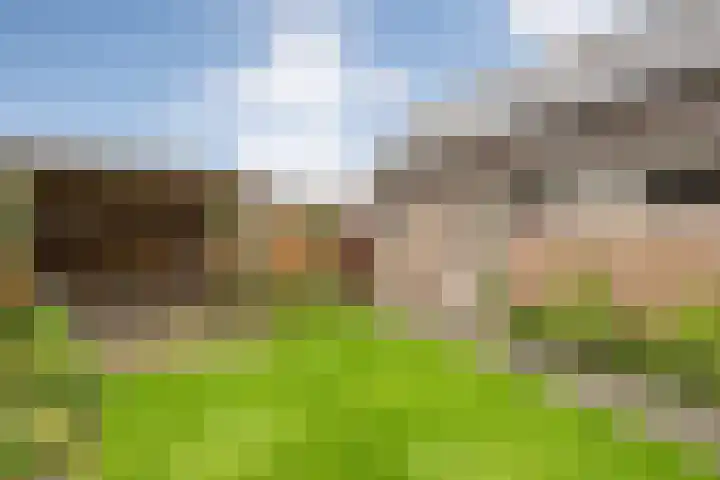 Haarsweg 8 Ommen thumbnail 43