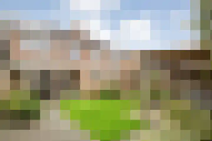 Haarsweg 8 Ommen thumbnail 44