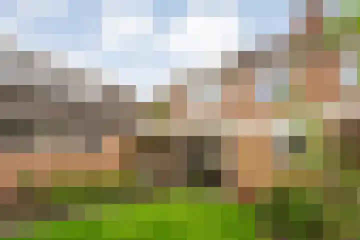 Haarsweg 8 Ommen thumbnail 48
