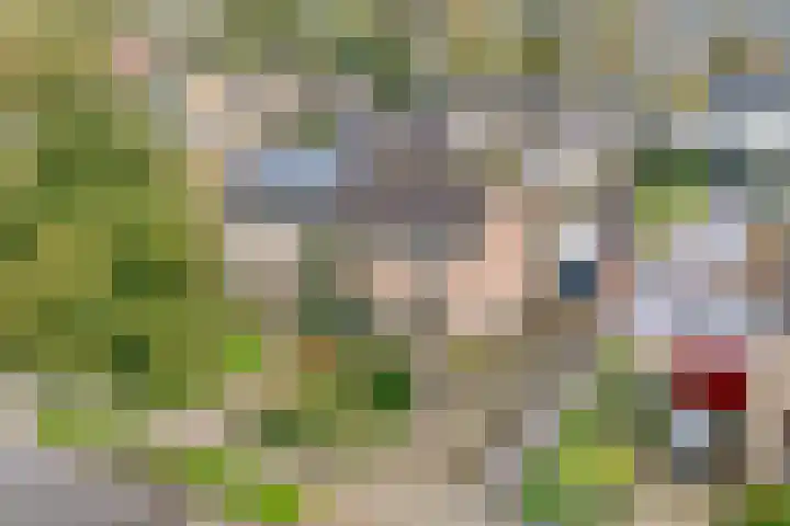 Haarsweg 8 Ommen thumbnail 5