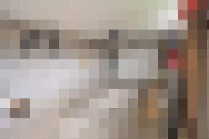 Haarsweg 8 Ommen thumbnail 50