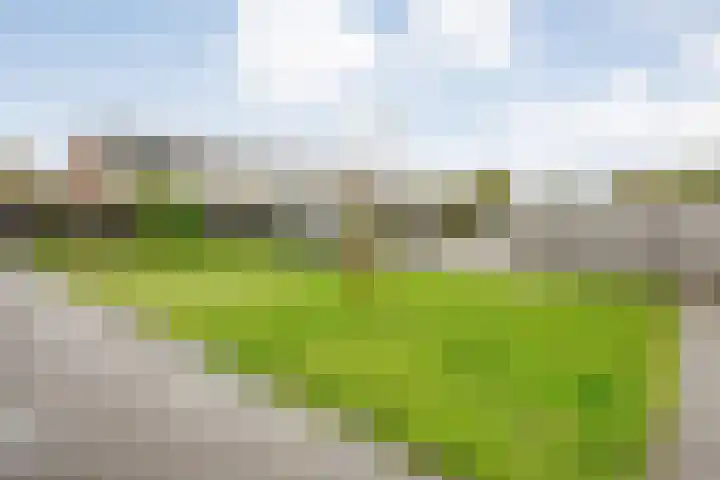 Haarsweg 8 Ommen thumbnail 52