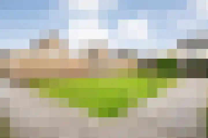 Haarsweg 8 Ommen thumbnail 53