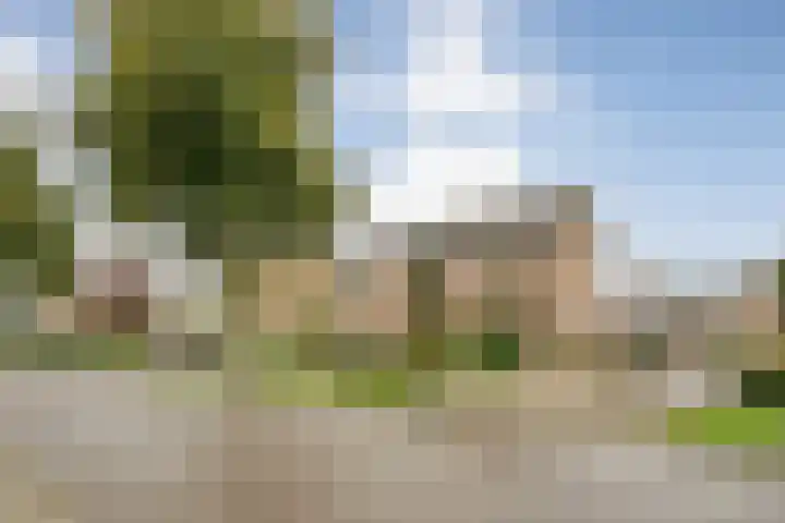 Haarsweg 8 Ommen thumbnail 6