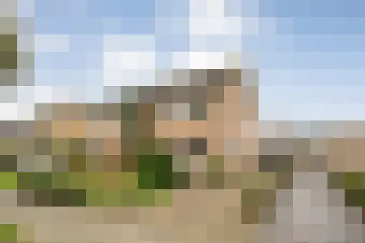 Haarsweg 8 Ommen thumbnail 7