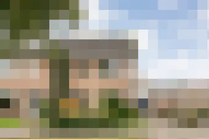Haarsweg 8 Ommen thumbnail 9