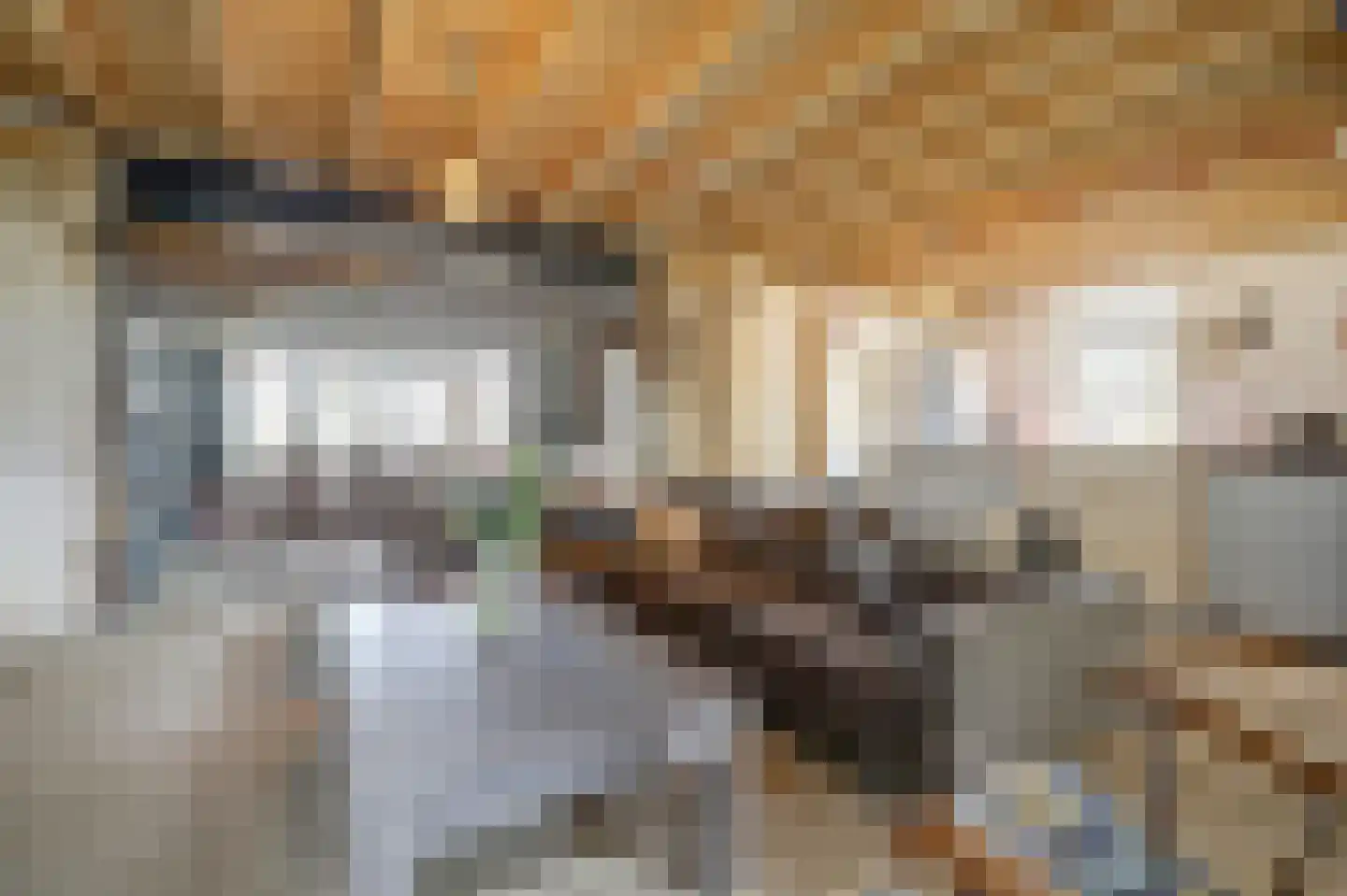 Haart 3 Beugen thumbnail 19