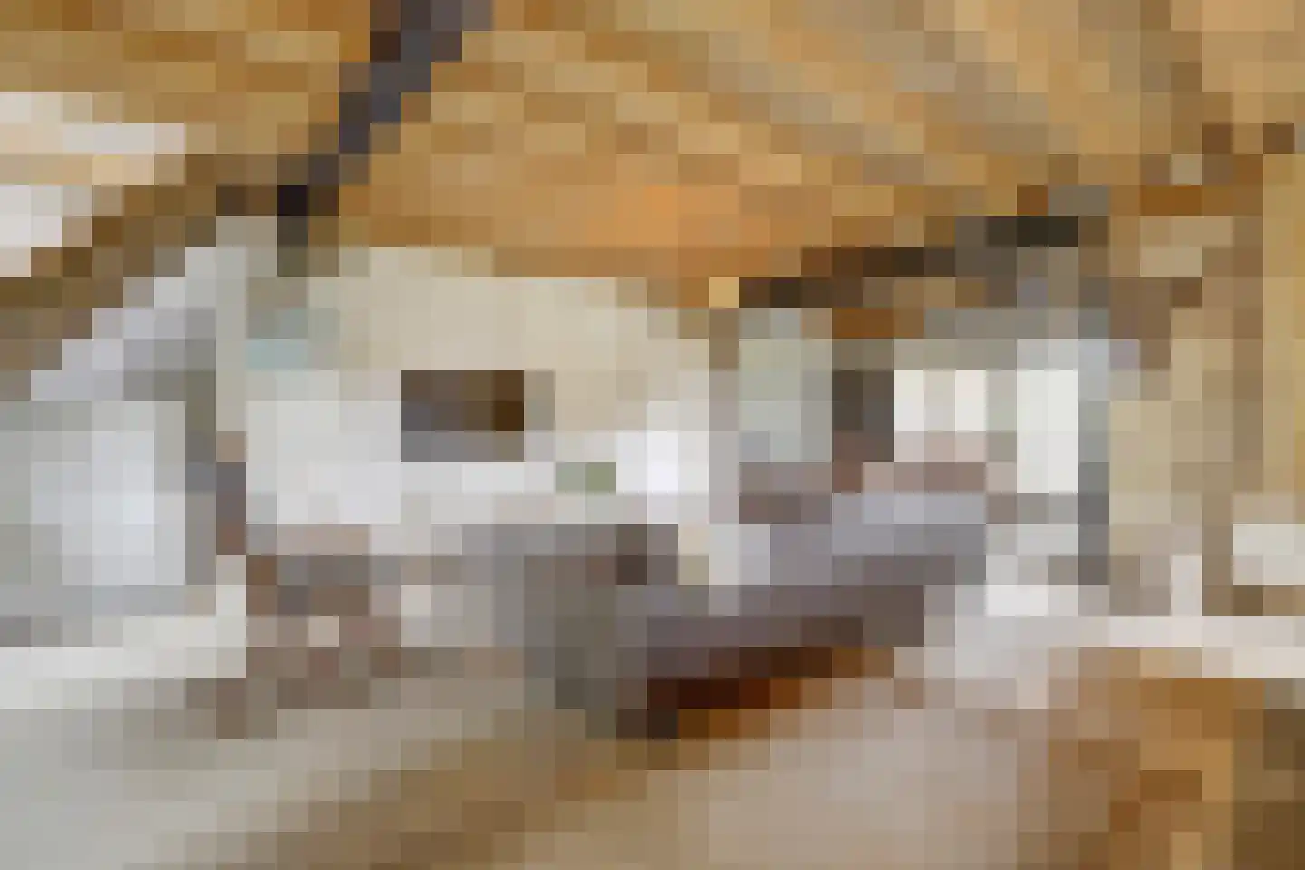 Haart 3 Beugen thumbnail 20