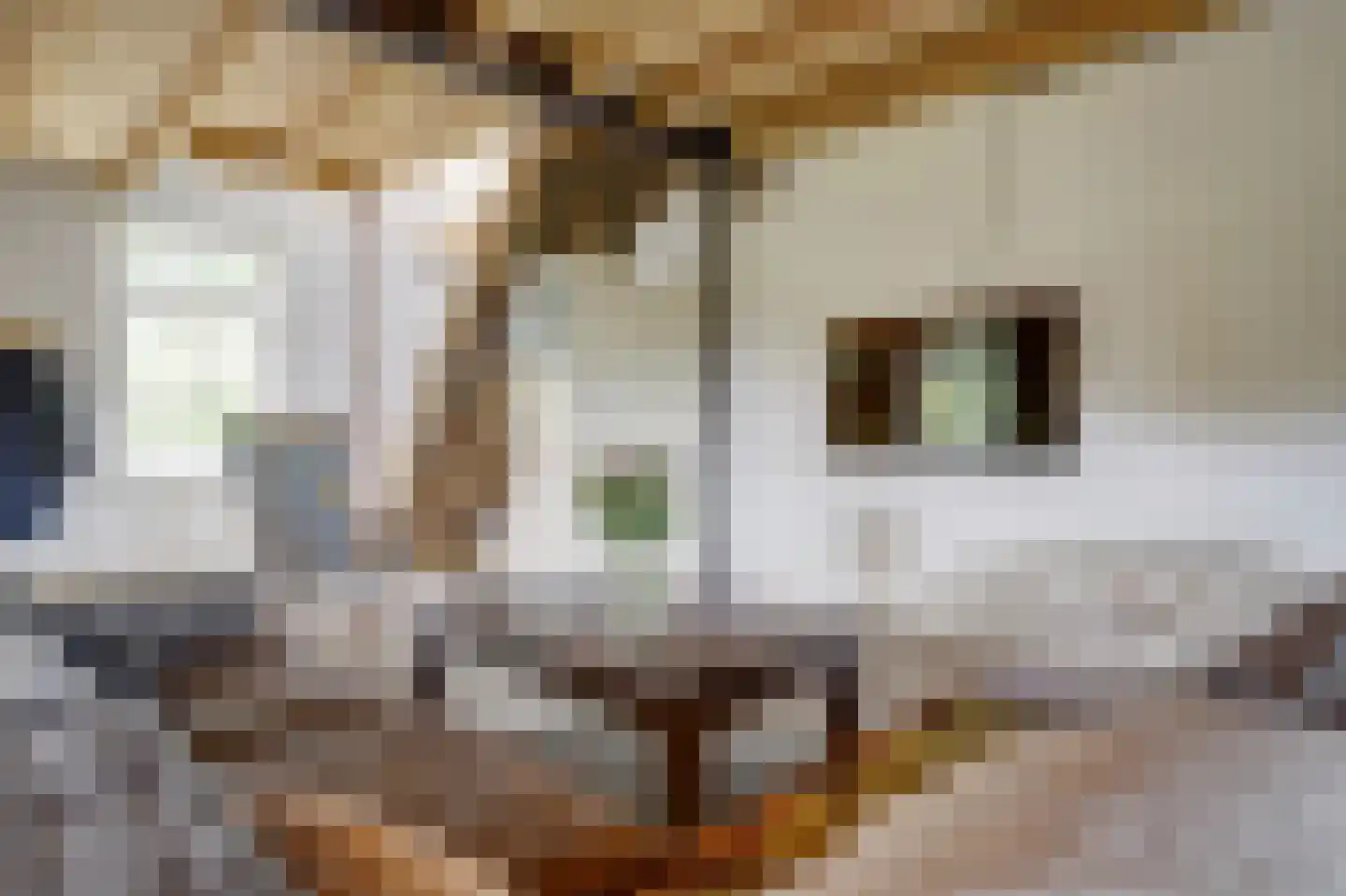 Haart 3 Beugen thumbnail 21