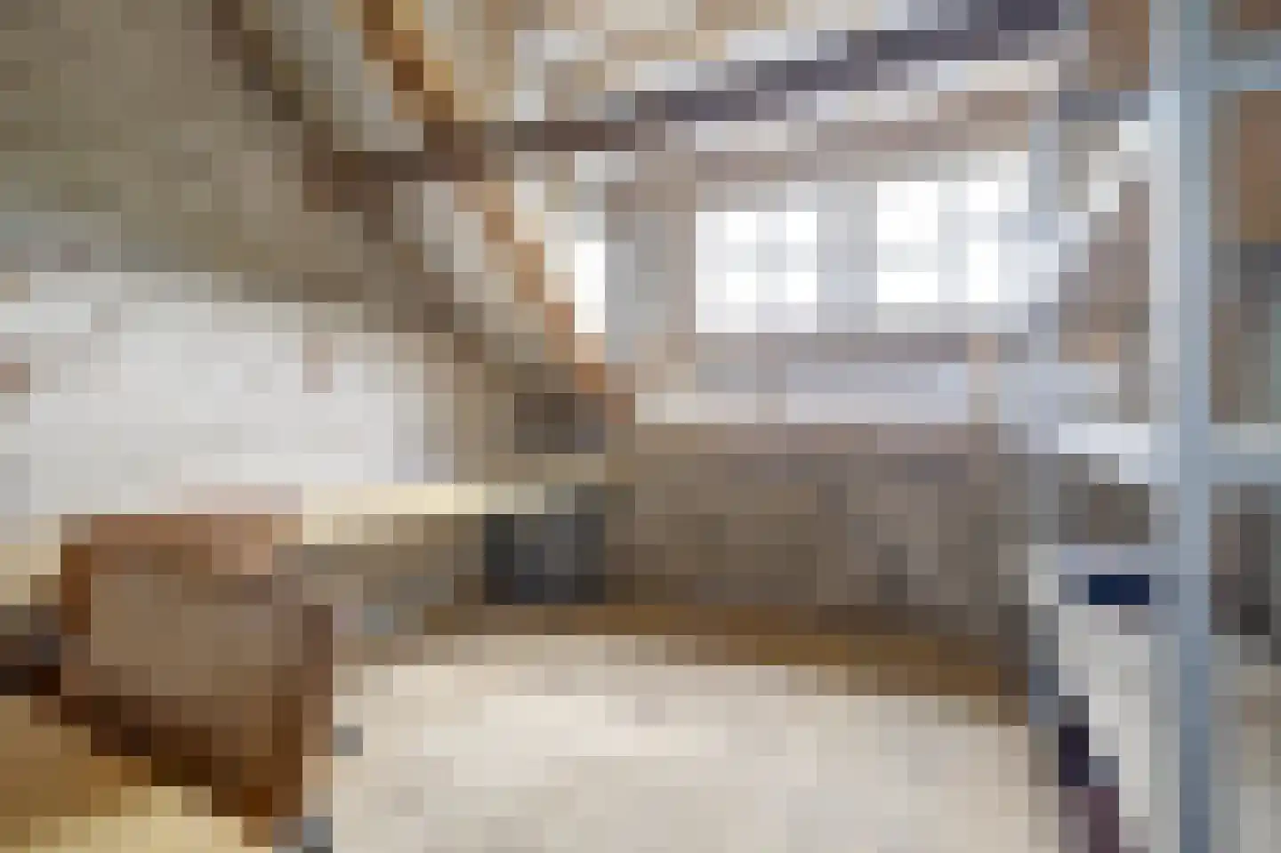 Haart 3 Beugen thumbnail 45