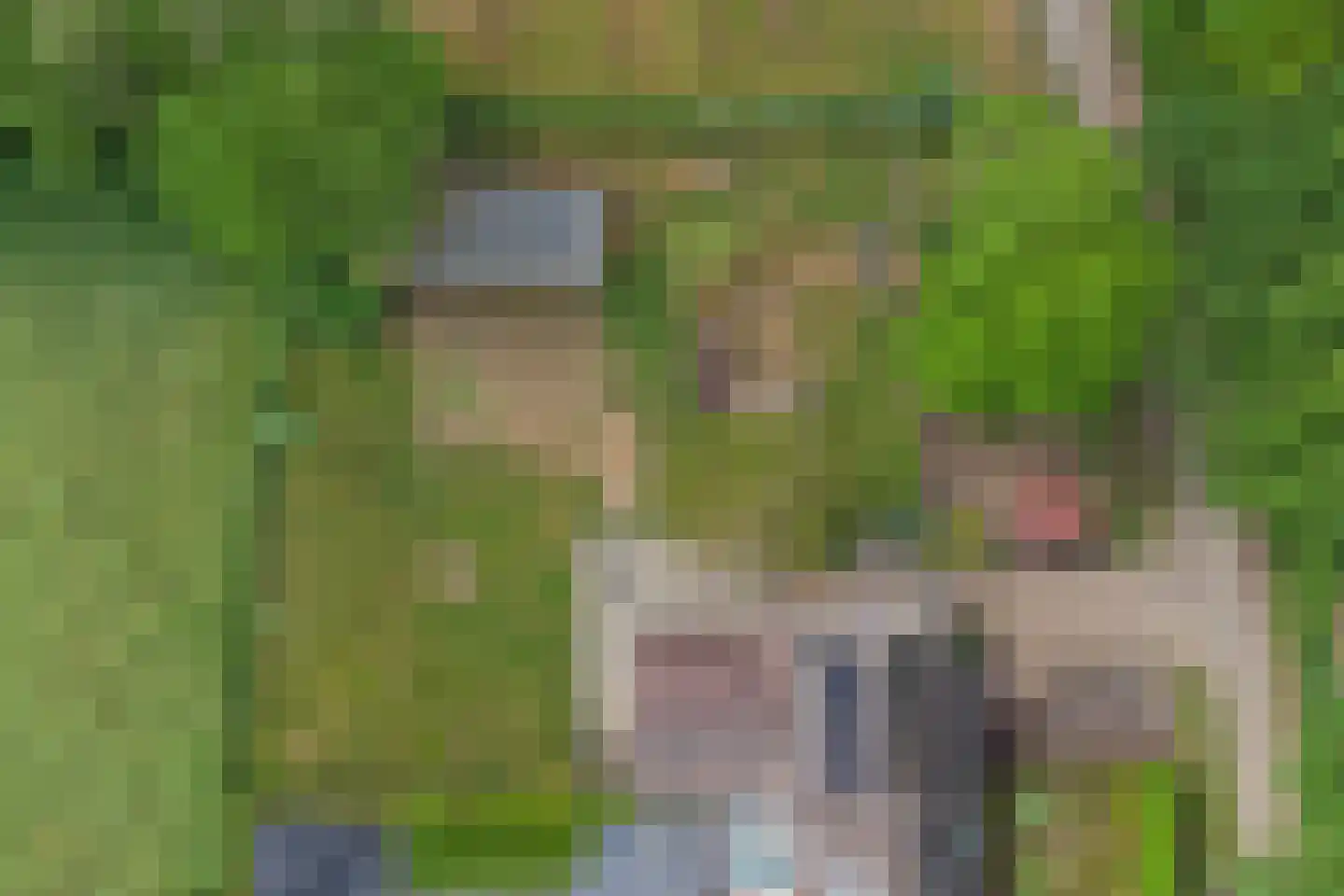 Haart 3 Beugen thumbnail 5
