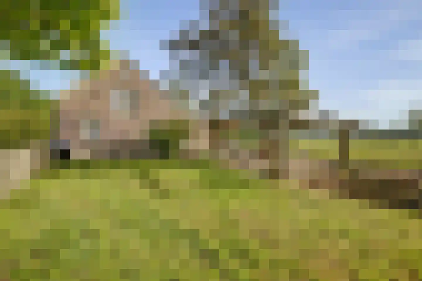 Haart 3 Beugen thumbnail 55