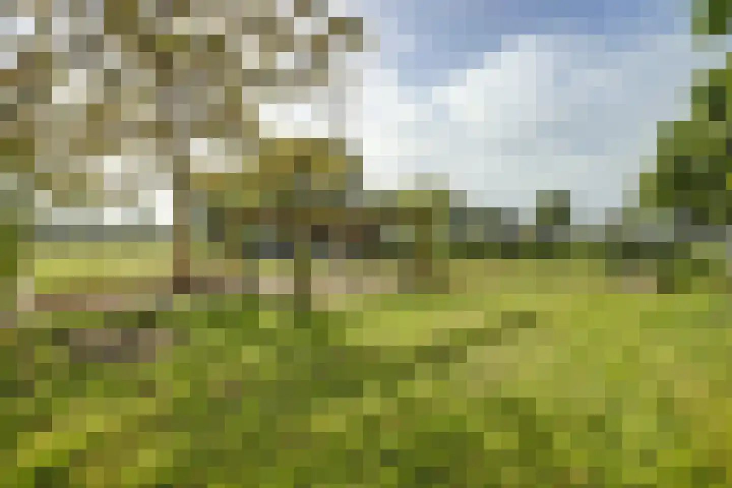 Haart 3 Beugen thumbnail 56