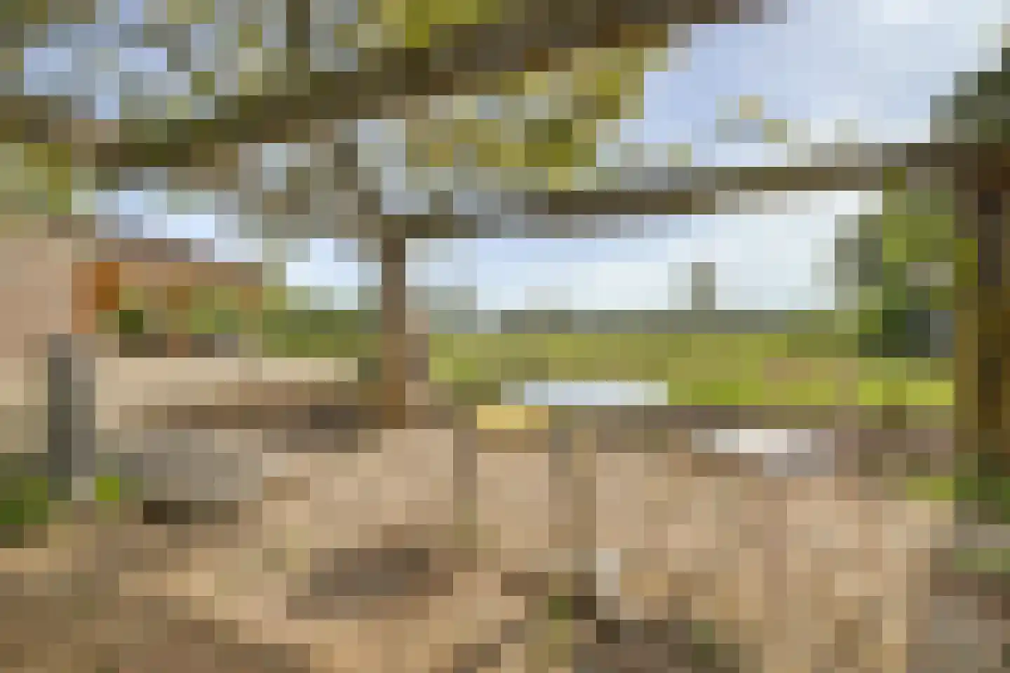 Haart 3 Beugen thumbnail 57