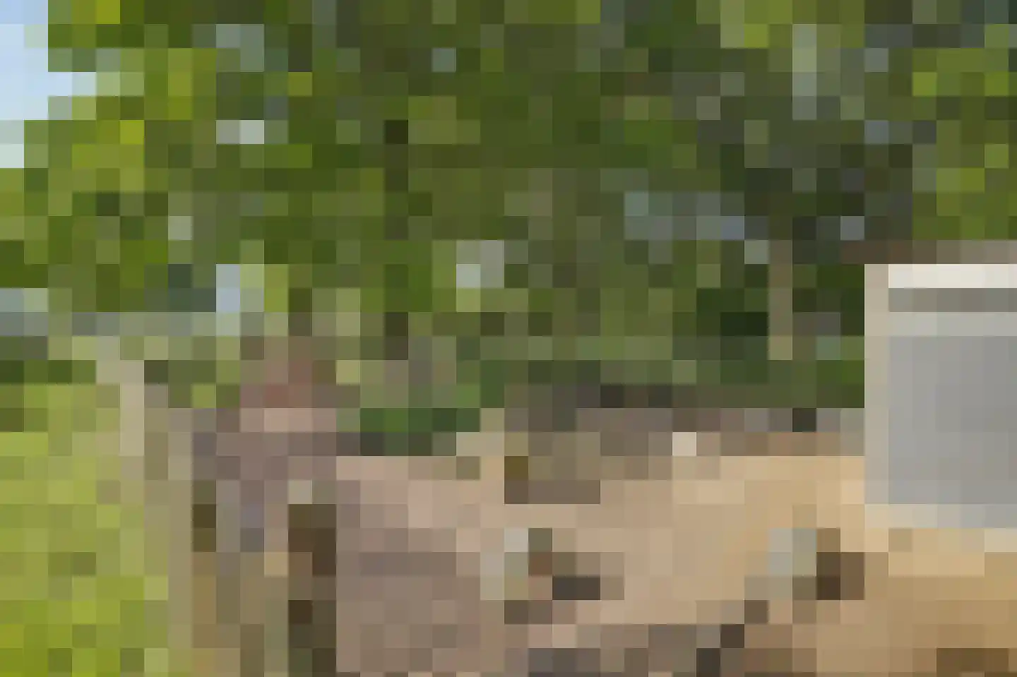 Haart 3 Beugen thumbnail 58