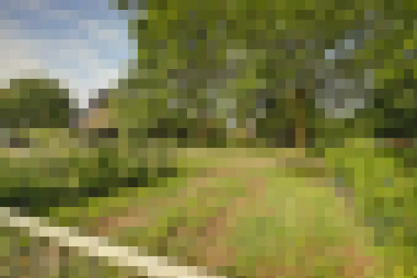Haart 3 Beugen thumbnail 59
