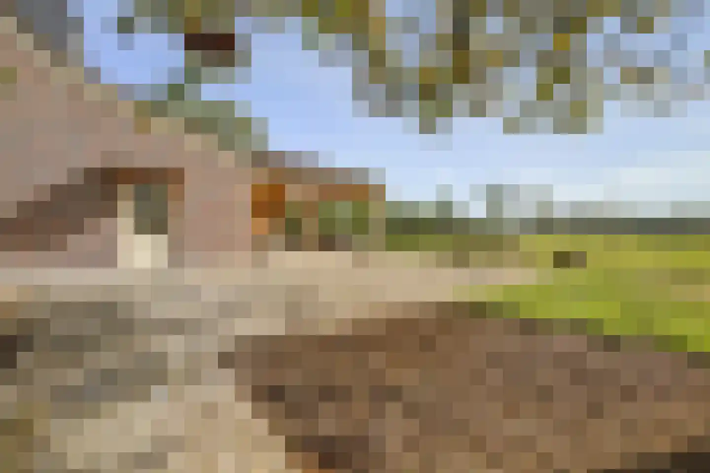 Haart 3 Beugen thumbnail 60