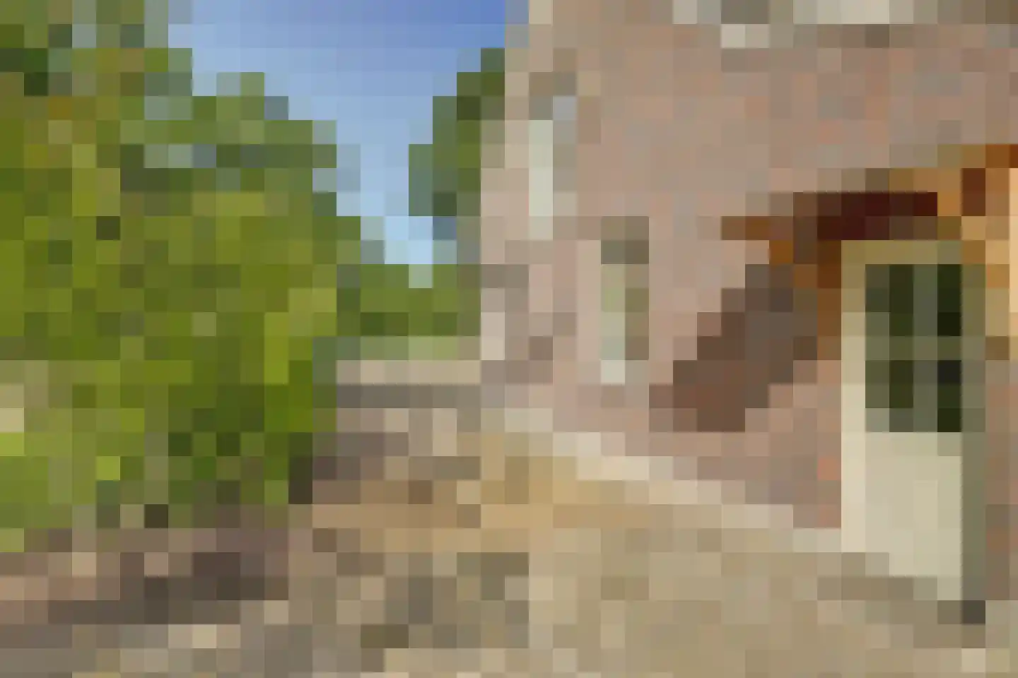 Haart 3 Beugen thumbnail 61