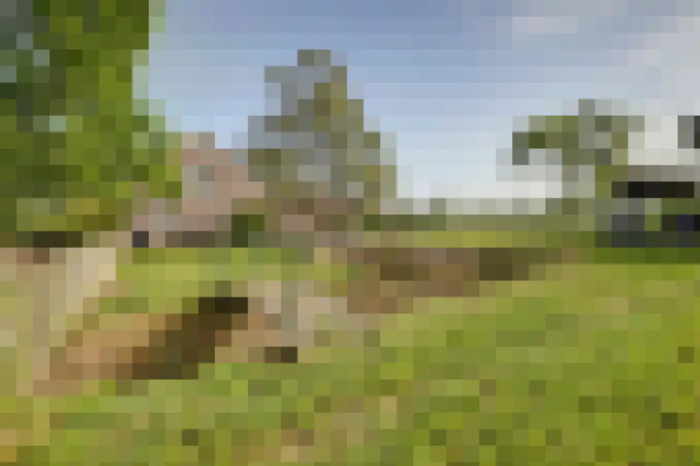 Haart 3 Beugen thumbnail 63