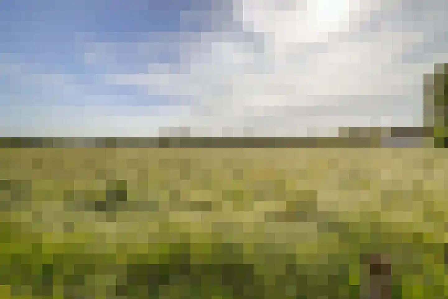 Haart 3 Beugen thumbnail 68