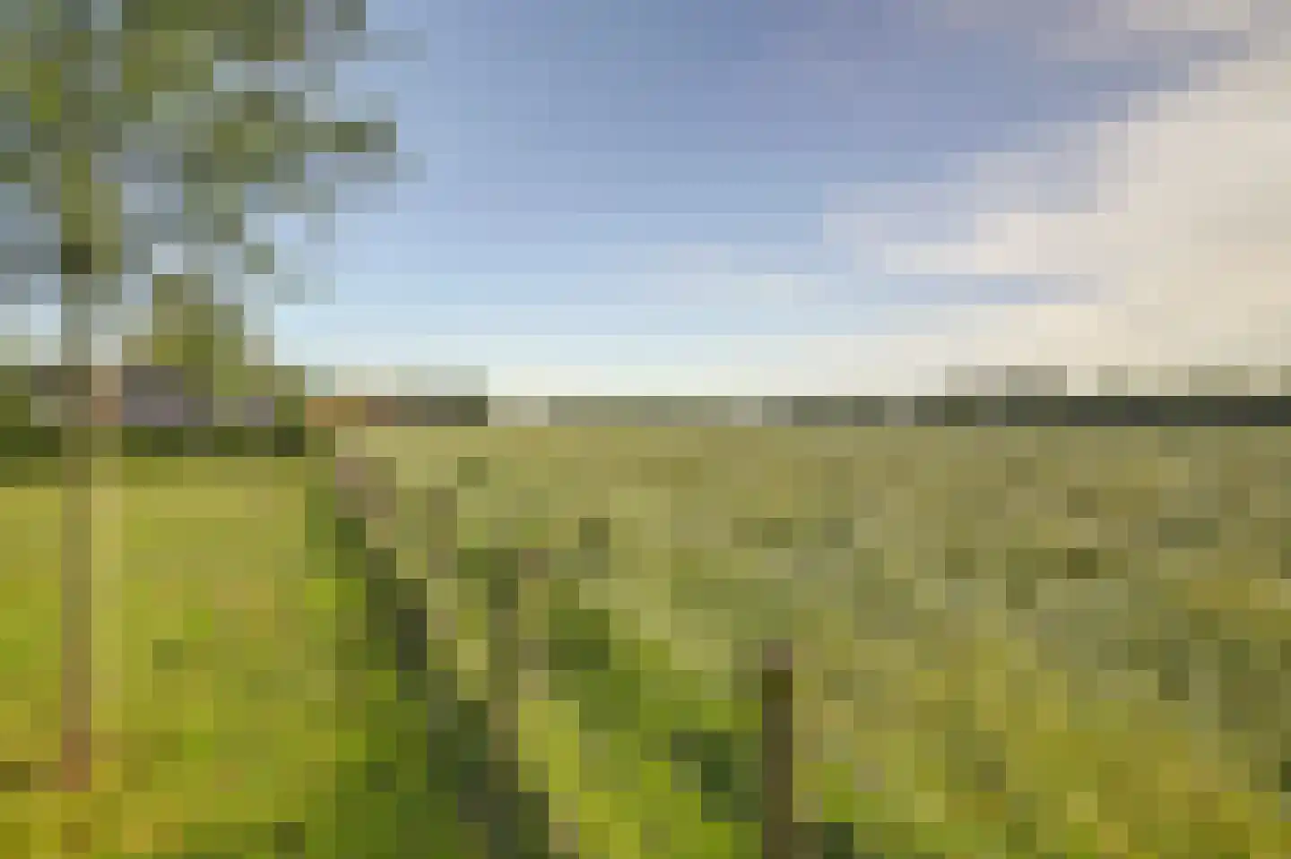 Haart 3 Beugen thumbnail 69