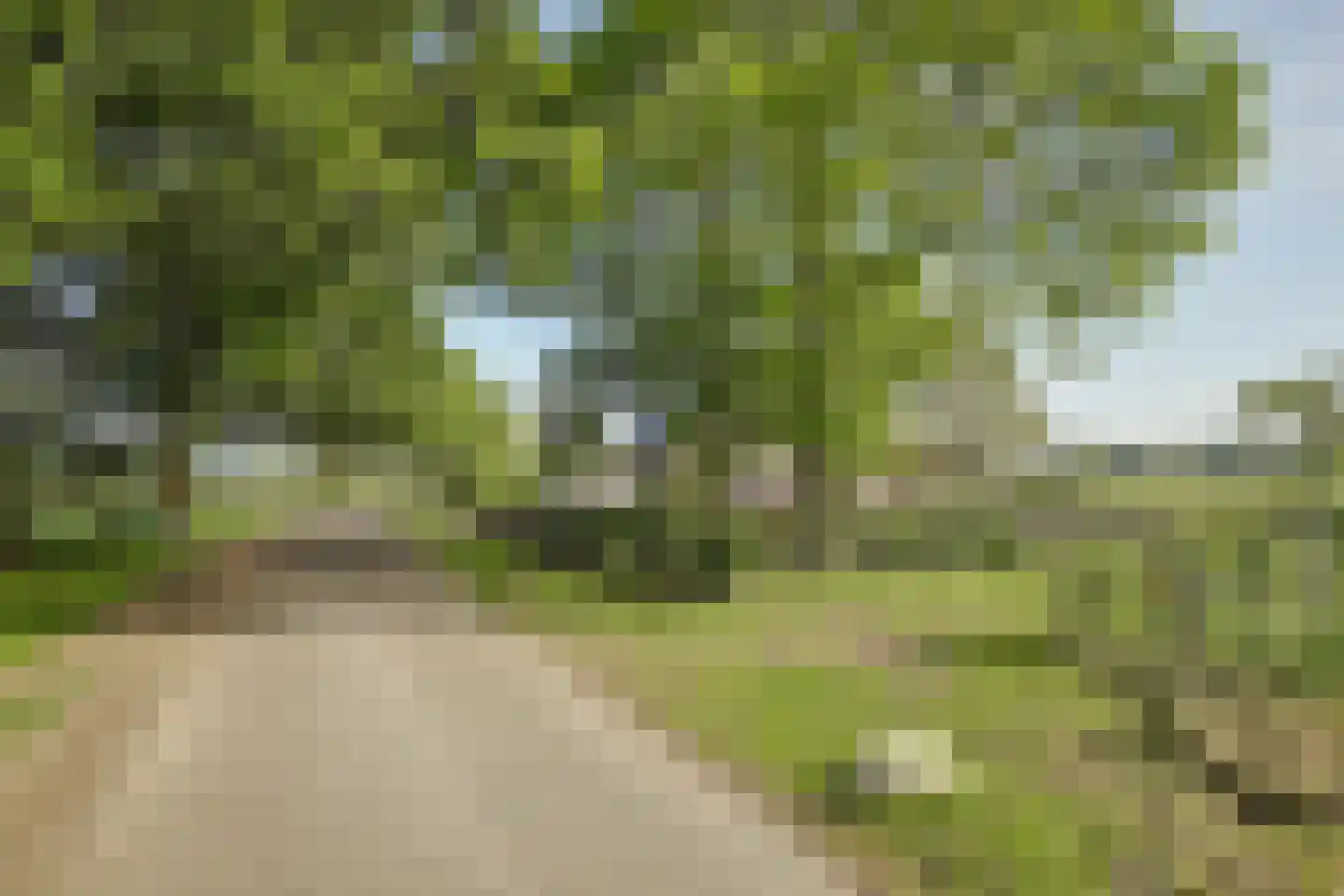 Haart 3 Beugen thumbnail 8