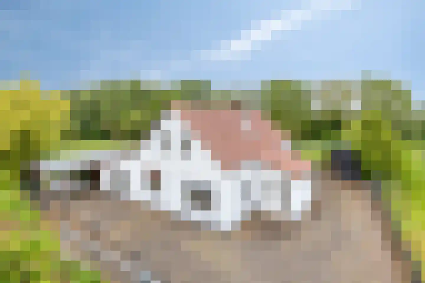 Haart 31 Beugen