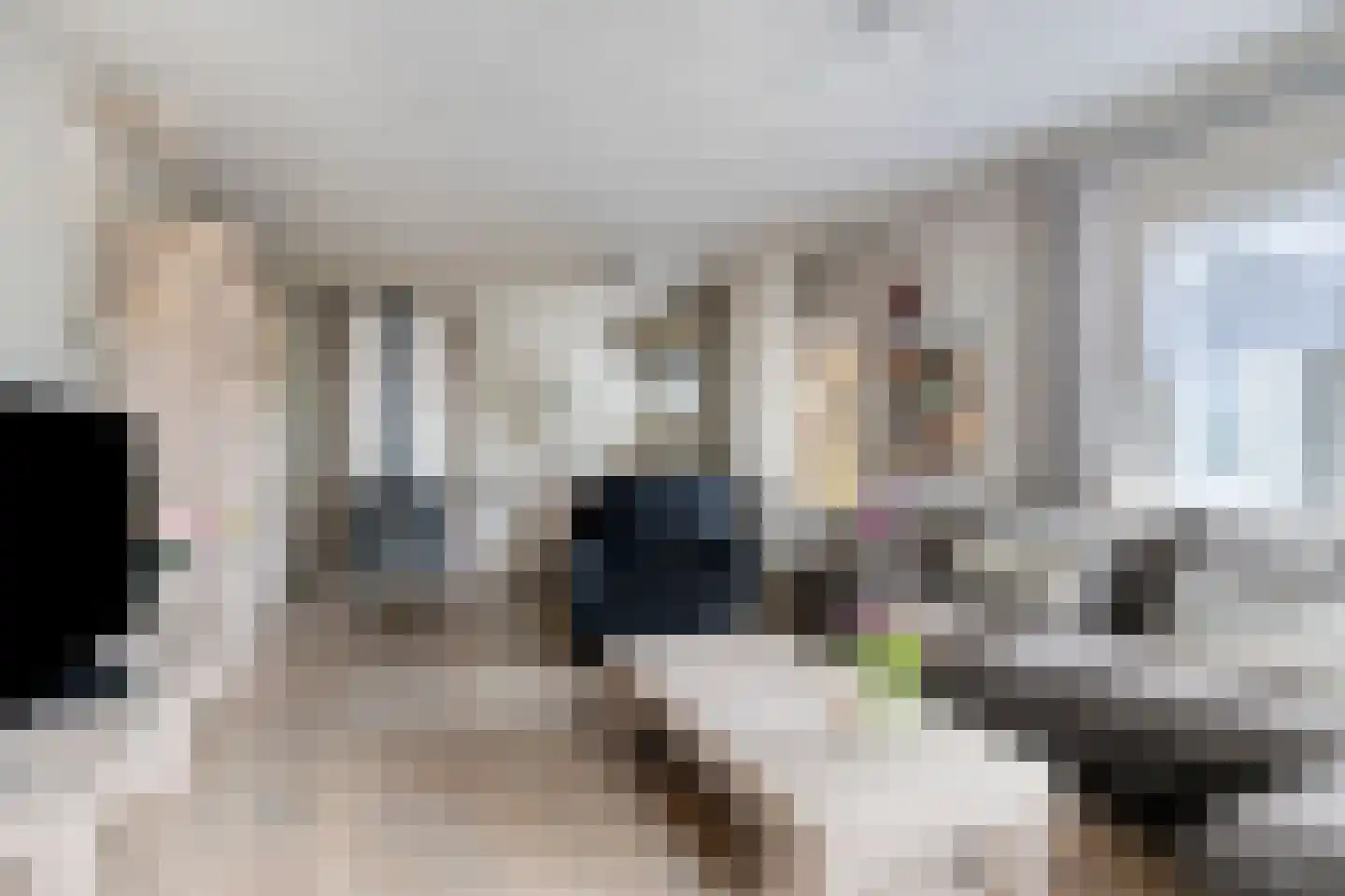 Haart 31 Beugen thumbnail 12