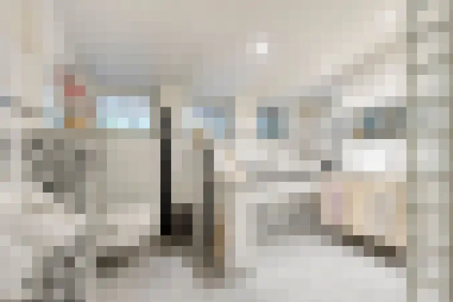 Haart 31 Beugen thumbnail 24