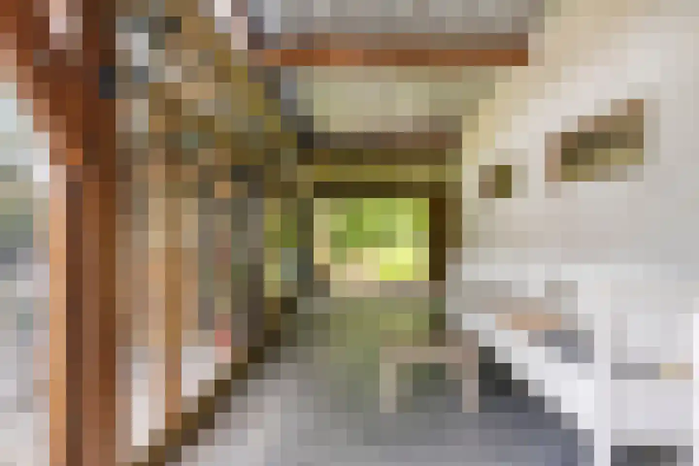 Haart 31 Beugen thumbnail 38