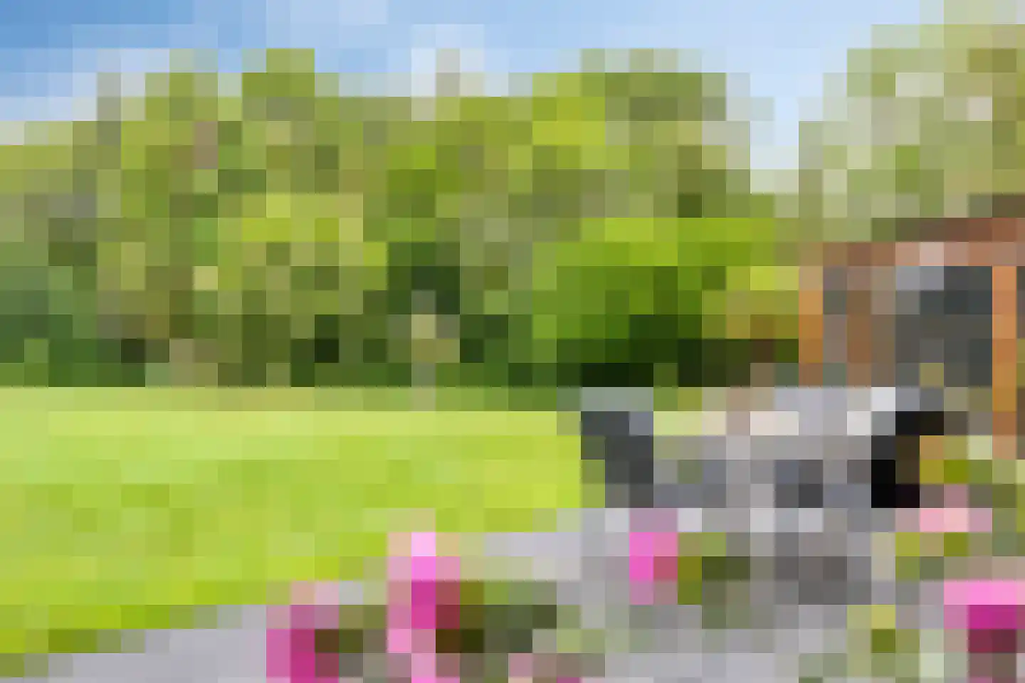 Haart 31 Beugen thumbnail 41