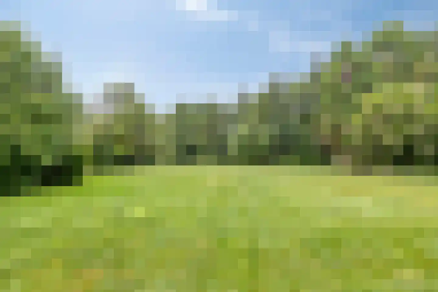 Haart 31 Beugen thumbnail 42