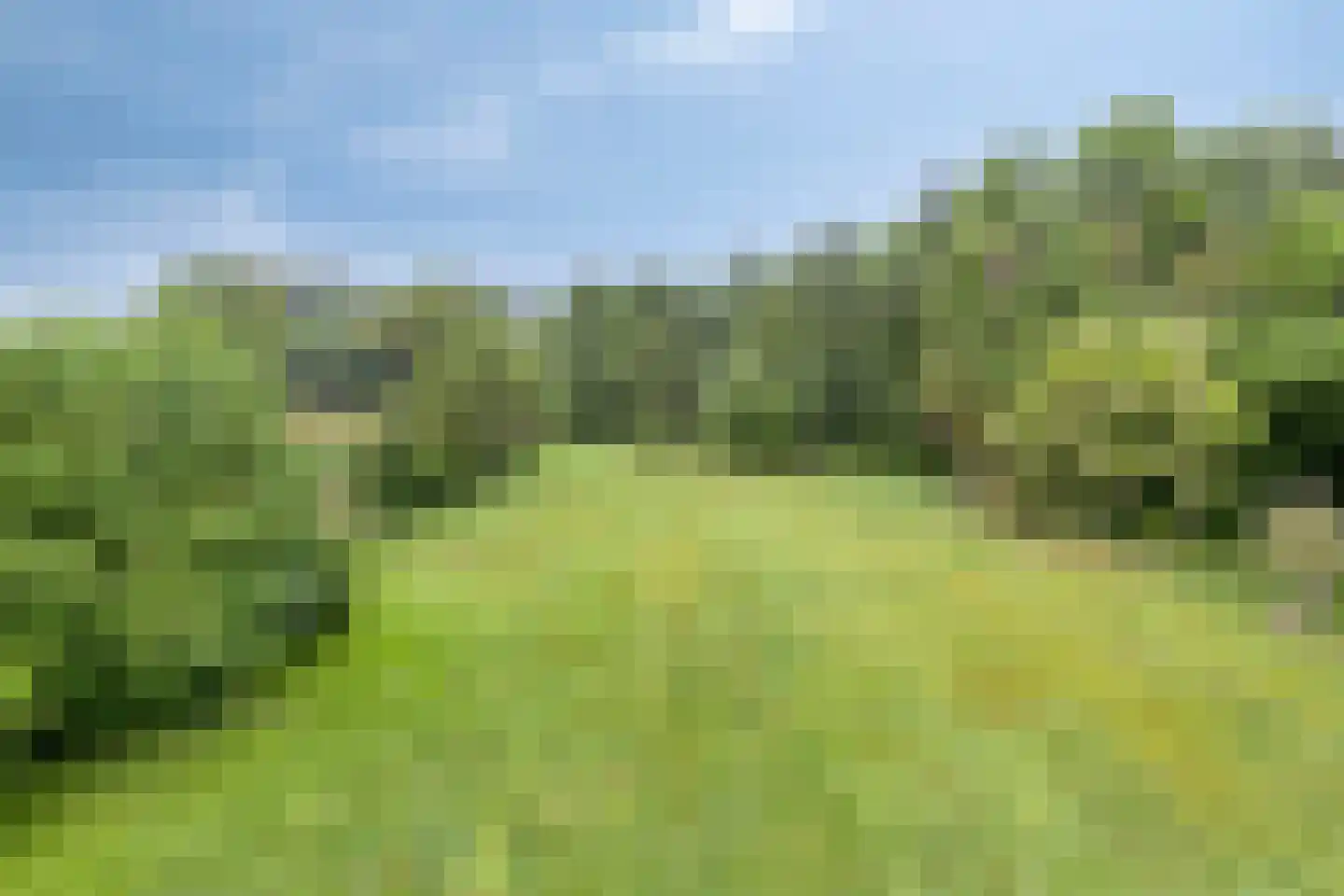 Haart 31 Beugen thumbnail 43