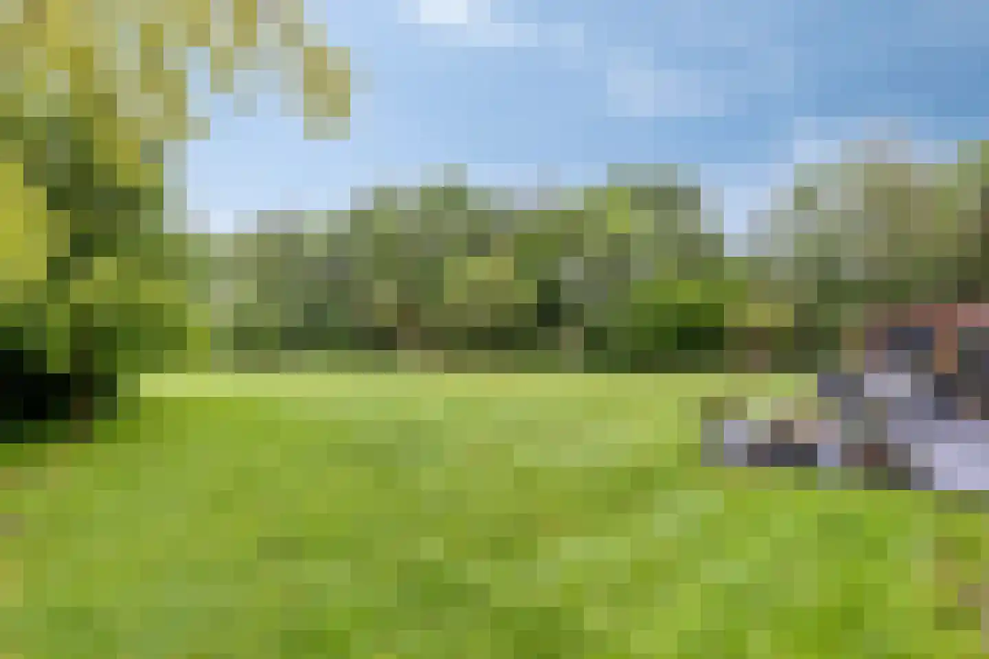 Haart 31 Beugen thumbnail 44