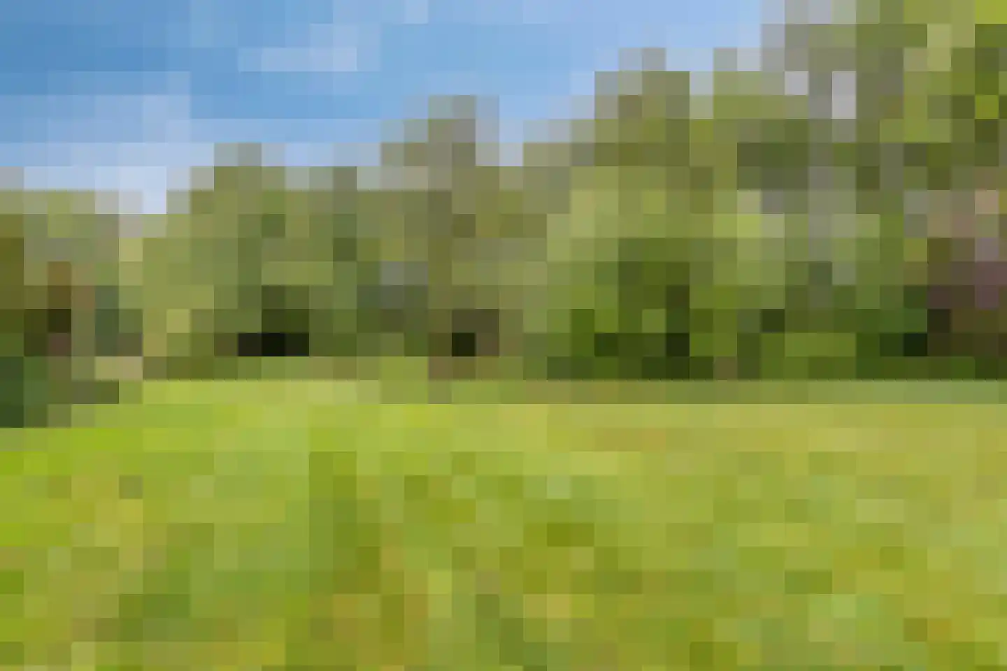 Haart 31 Beugen thumbnail 45