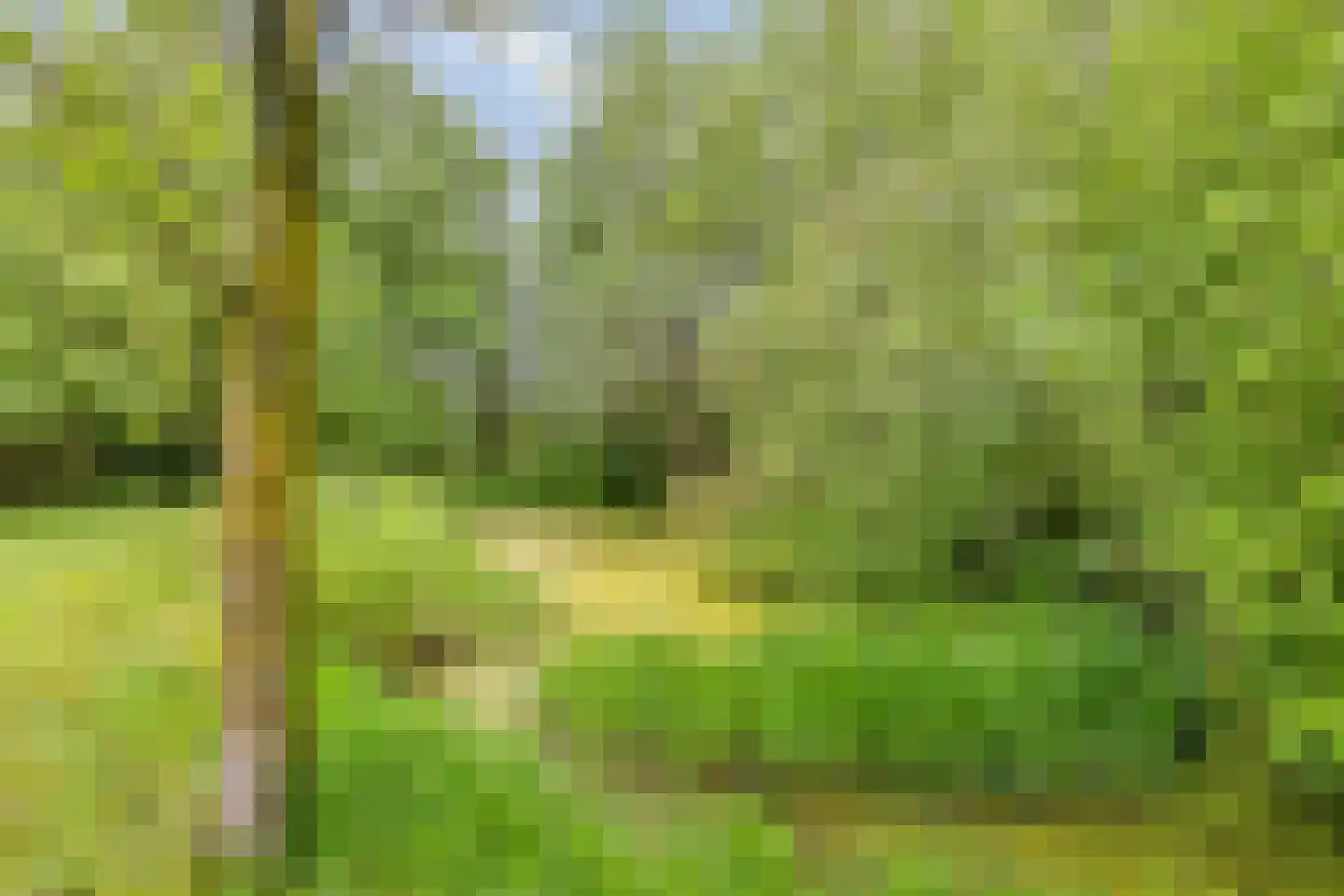 Haart 31 Beugen thumbnail 46