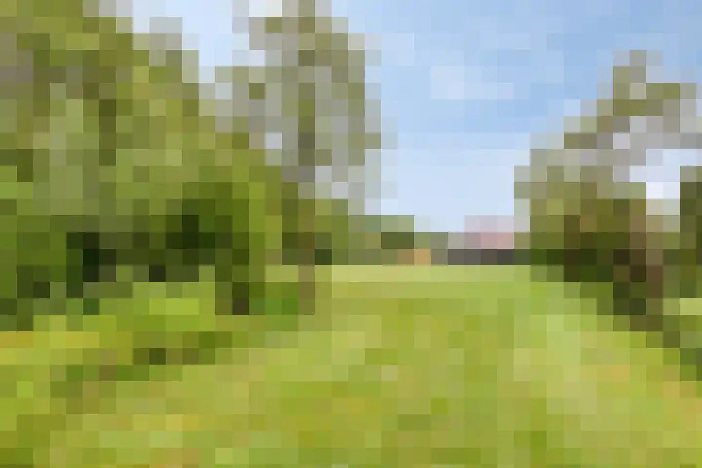 Haart 31 Beugen thumbnail 47
