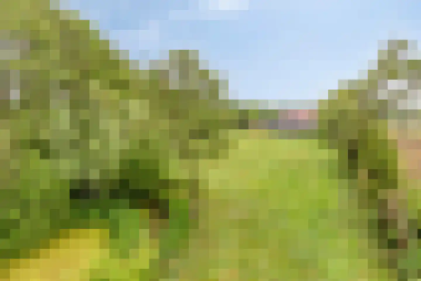 Haart 31 Beugen thumbnail 48