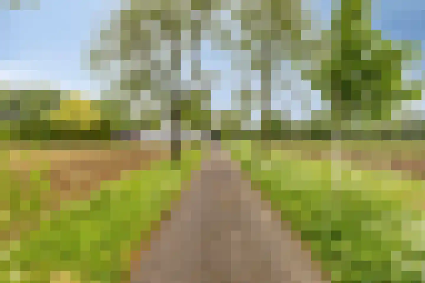Haart 31 Beugen thumbnail 5