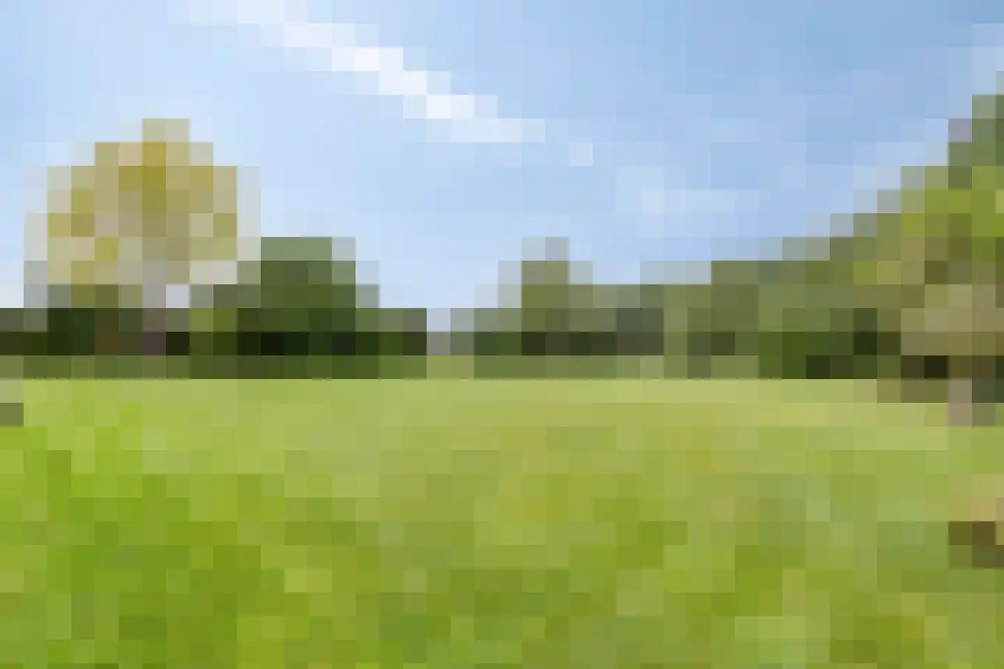 Haart 31 Beugen thumbnail 52