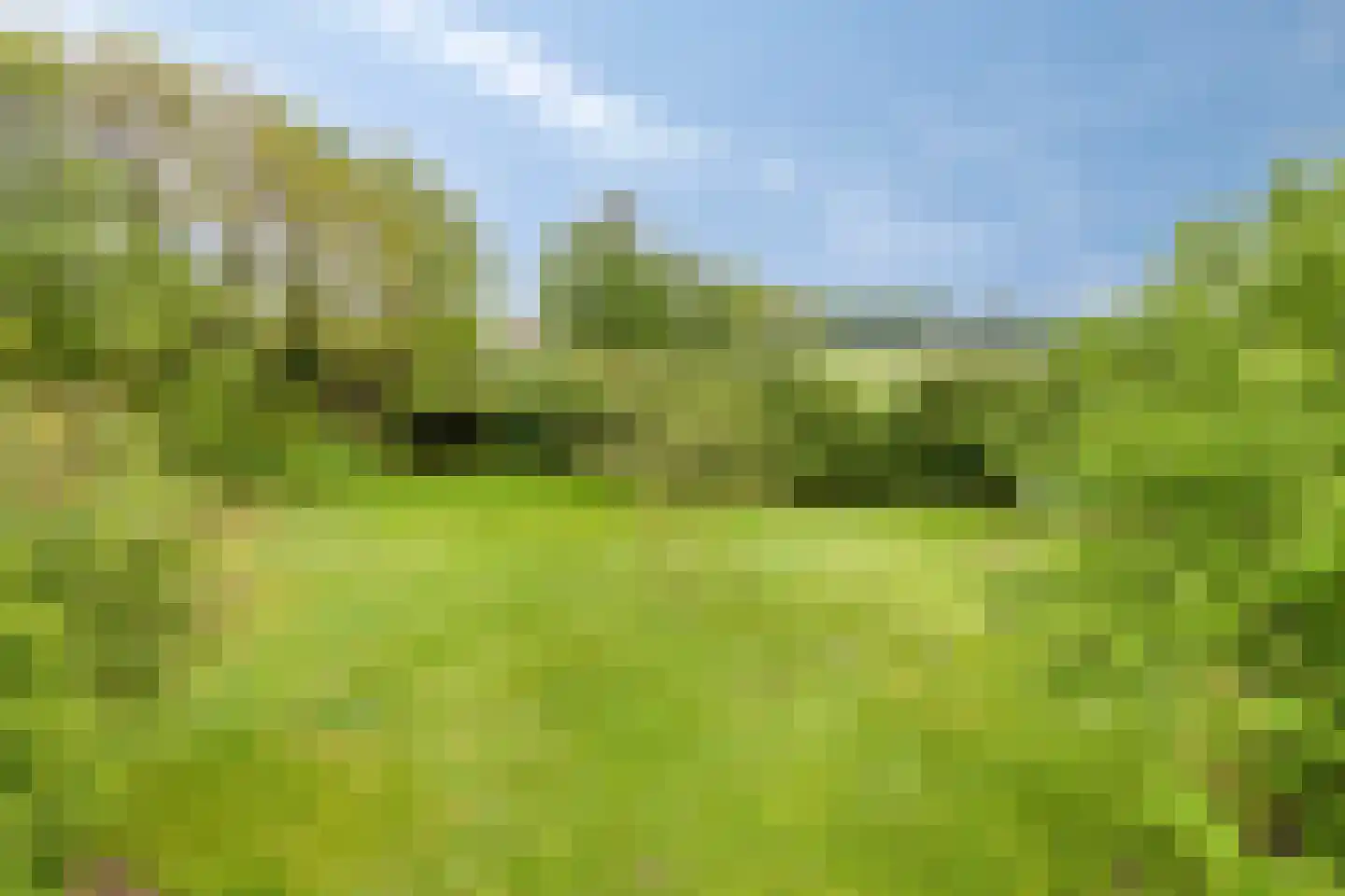 Haart 31 Beugen thumbnail 54