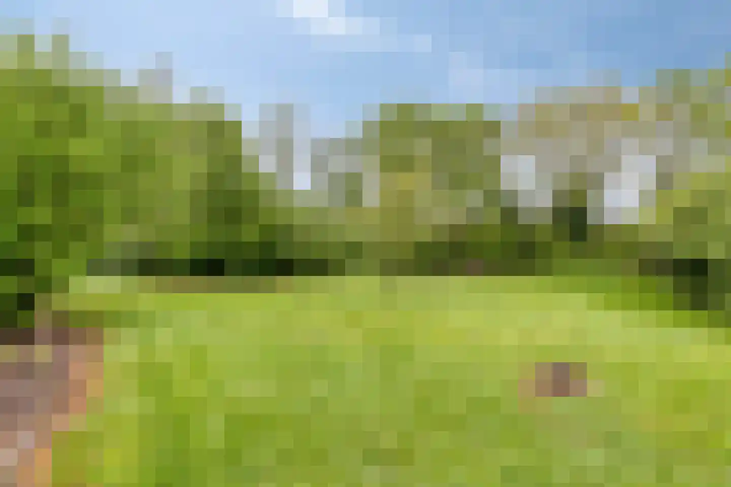 Haart 31 Beugen thumbnail 58